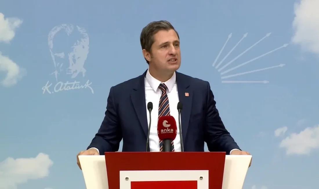 CHP Parti Sözcüsü ve İzmir Milletvekili Deniz Yücel, TBMM Bütçe