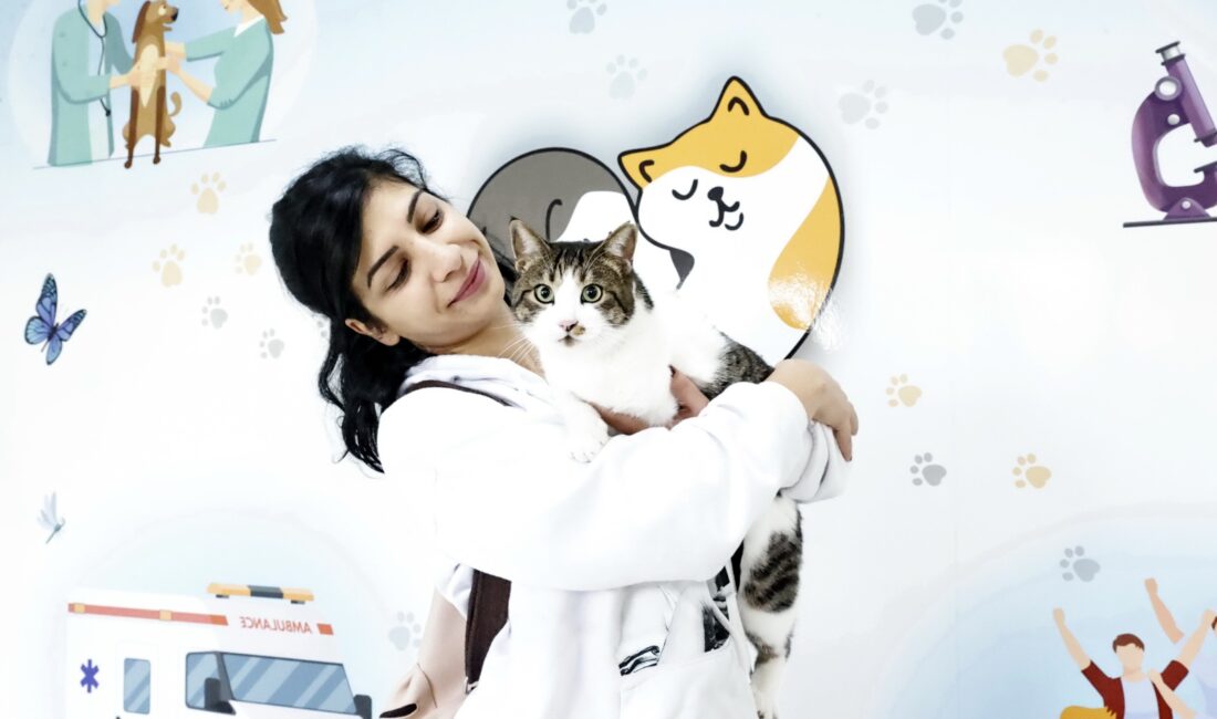 Konak’ın engelleri aşan Kedi Evi’nden sahiplenme çağrısı Konak Belediyesi Veteriner İşleri Müdürlüğü’ne bağlı Engelli Kedi Evi ve