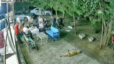 Narin cinayeti davasında savcı görüşünü açıkladı ve tutuklu 4 sanık