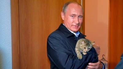 Rusya Devlet Başkanı Vladimir Putin'in Japonya'ya hediye ettiği kedi, sağlık