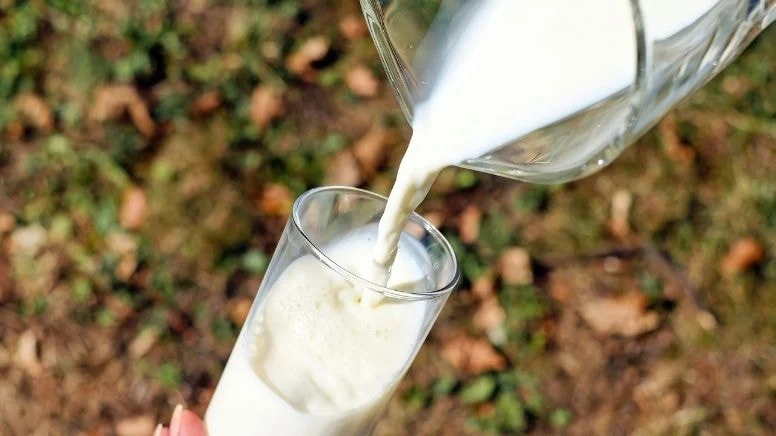 Ulusal Süt Konseyi (USK), çiğ süt üreticilerinin merakla beklediği yeni