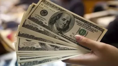 Türk lirasının dolar ve euro karşısındaki değer kaybı devam ediyor.