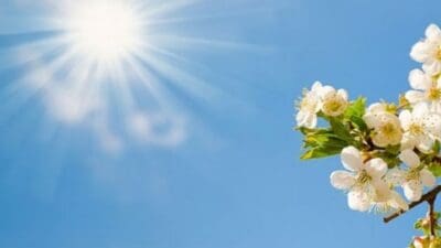 Türkiye genelinde hava sıcaklıkları mevsim normallerinin üzerine çıkarak bahar havası