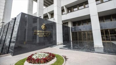 Türkiye Cumhuriyet Merkez Bankası (TCMB), 2024 yılında 55 kuruluş hakkında