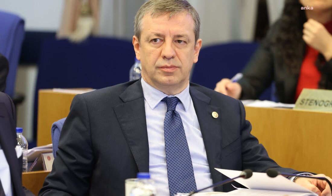 
CHP İzmir Milletvekili ve TBMM Plan ve Bütçe Komisyonu CHP