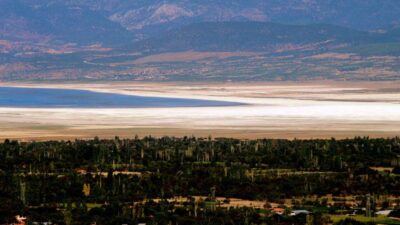 Türkiye Tabiatını Koruma Derneği (TTKD) Bilim Danışmanı Dr. Erol Kesici,