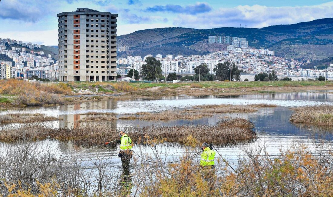 İzmir Büyükşehir Belediyesi sivrisineklere yönelik mücadelesini yıl boyunca sürdürüyor. 