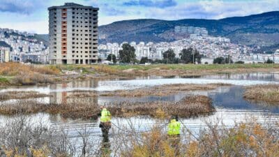 İzmir Büyükşehir Belediyesi sivrisineklere yönelik mücadelesini yıl boyunca sürdürüyor. 