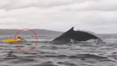 Şili’nin güneyinde, Punta Arenas açıklarında çekildiği iddia edilen bir video