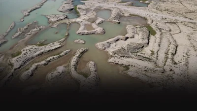 Türkiye Bilimler Akademisi (TÜBA) Çevre, Biyoçeşitlilik ve İklim Değişikliği Çalışma