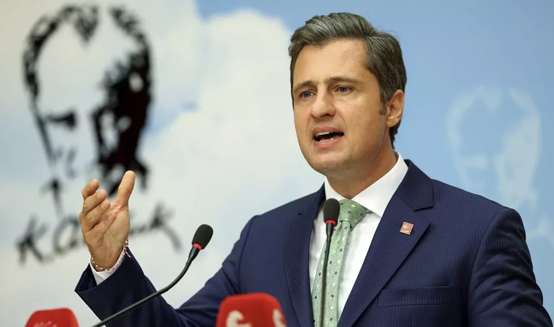 CHP Genel Başkan Yardımcısı ve Parti Sözcüsü Deniz Yücel, AK