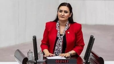 Cumhuriyet Halk Partisi (CHP) İzmir Milletvekili ve TBMM Anayasa Komisyonu