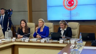 TBMM Kadına Karşı Şiddet ve Ayrımcılığı Araştırma Komisyonu, AK Parti