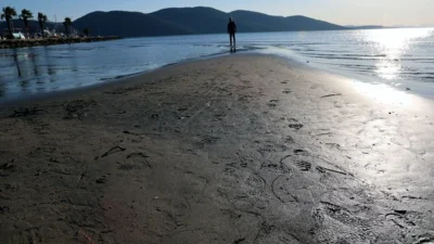 İzmir’in Seferihisar ve Muğla’nın Akyaka ilçelerinde deniz suyunun metrelerce çekilmesi,