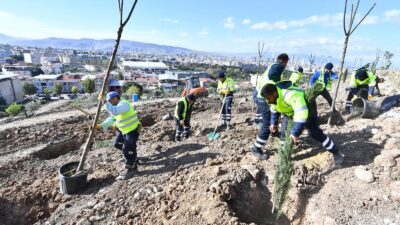 İzmir Büyükşehir Belediyesi, Bornova Kızılay Mahallesi’ndeki 10 dönümlük alanda bin