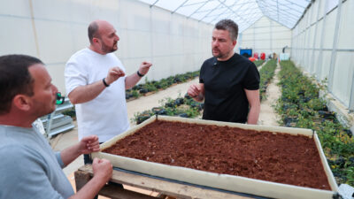 İzmir’in merkezinde en fazla tarımsal araziye sahip ilçe olan Buca,