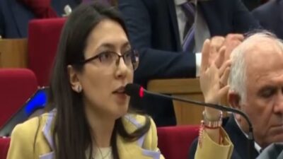 Bornova Erzene Mahallesi'nde "doğal karakteri korunacak alan" olarak belirlenen 234