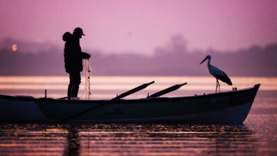 Bursa'nın Karacabey ilçesindeki Eskikaraağaç Leylek Köyü’nün simgesi Yaren leylek, 14.