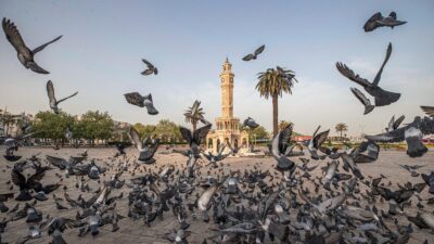 İzmir Büyükşehir Belediyesi'nin, Avrupa genelinde iklim direncini artırmayı hedefleyen CLIMAAX