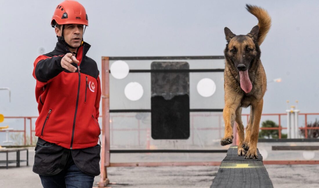 İzmir Büyükşehir Belediyesi İtfaiye Dairesi Başkanlığı’nın arama kurtarma köpekleri, afetlerde