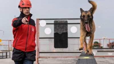 İzmir Büyükşehir Belediyesi İtfaiye Dairesi Başkanlığı’nın arama kurtarma köpekleri, afetlerde