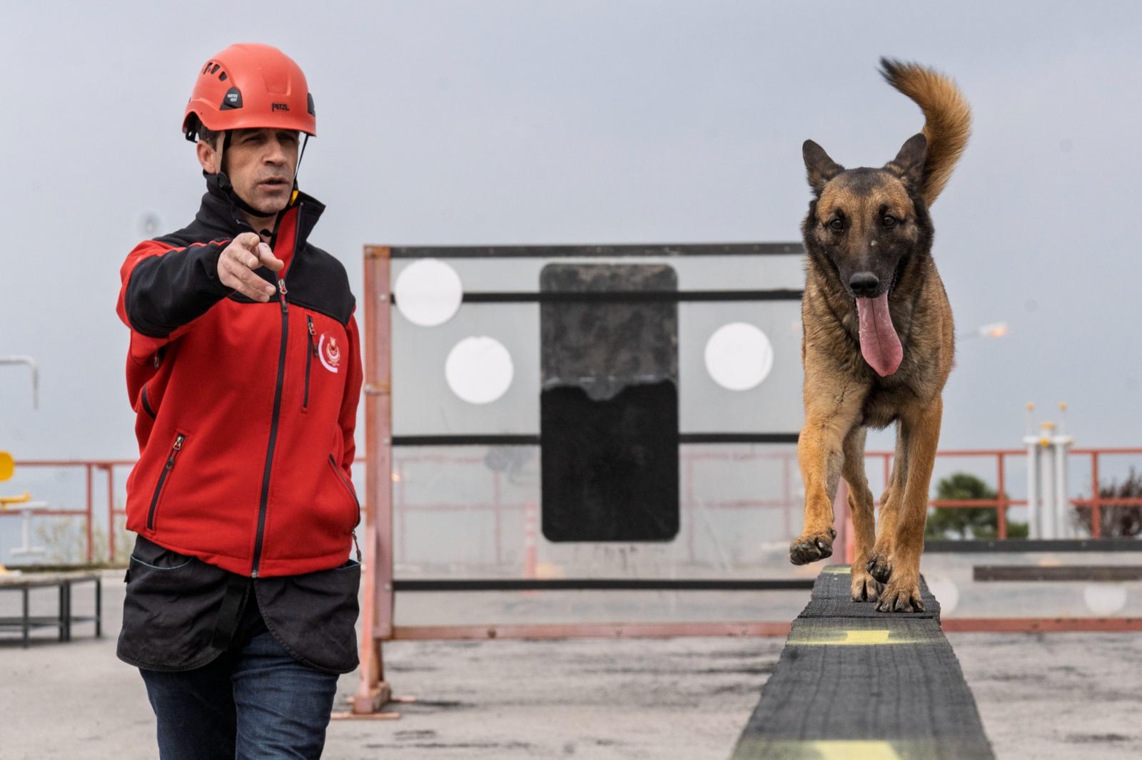 İzmir Büyükşehir Belediyesi İtfaiye Dairesi Başkanlığı’nın arama kurtarma köpekleri, afetlerde