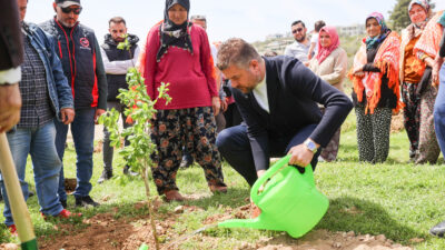 Buca Belediyesi, doğal yaşama ve arıcılığa destek olmak için bir