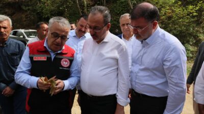 AK Parti İzmir Milletvekili ve önceki dönem Gençlik ve Spor