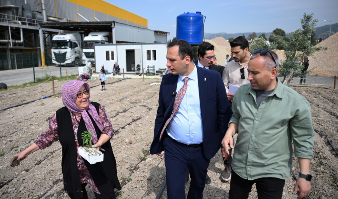 Bornova Belediyesi’nin talep gören projesi Kent Bostanı’nda yazlık sebzeler, Bornova