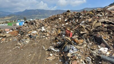 İzmir'in Bayraklı ilçesinde yapılan denetimlerde çevre kirliliğine neden olan vahşi