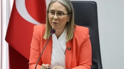 CHP Genel Başkanı Özgür Özel'in Cumhurbaşkanı Erdoğan'a yönelik "cunta başkanı"