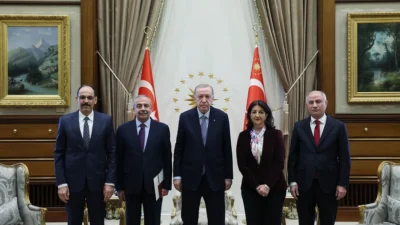 Cumhurbaşkanı Recep Tayyip Erdoğan, DEM Parti heyetinden Sırrı Süreyya Önder