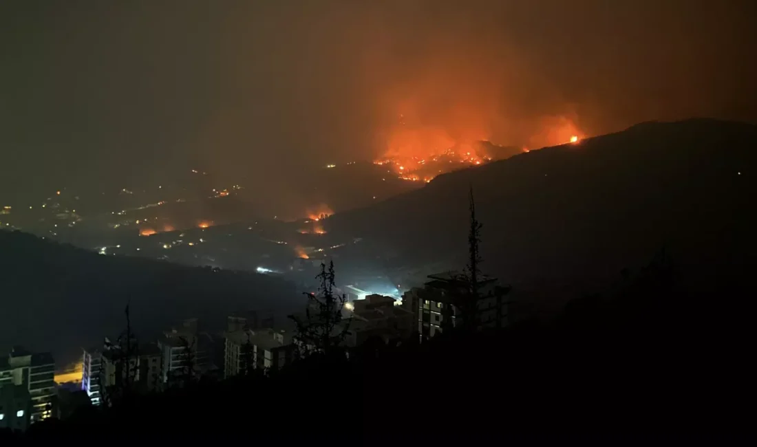 2 bin hektardan fazla alanın kül olduğu yangında 11 sanığın