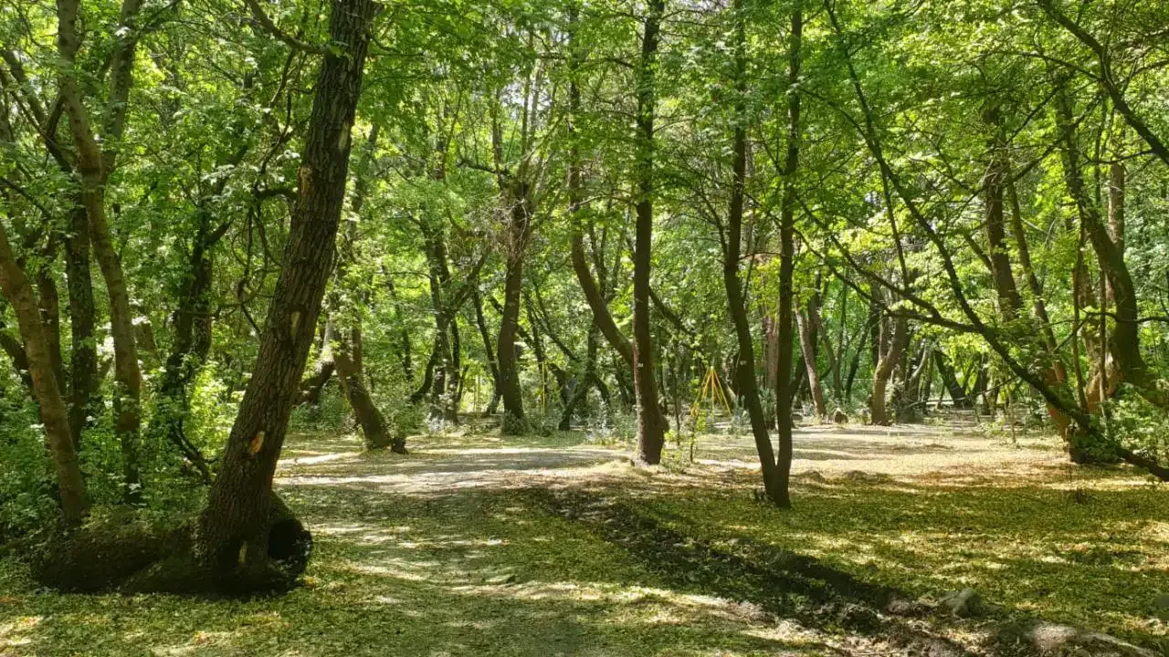 Geçmiş yıllardaki büyük orman yangınlarından ders çıkaran Muğla Valiliği bu