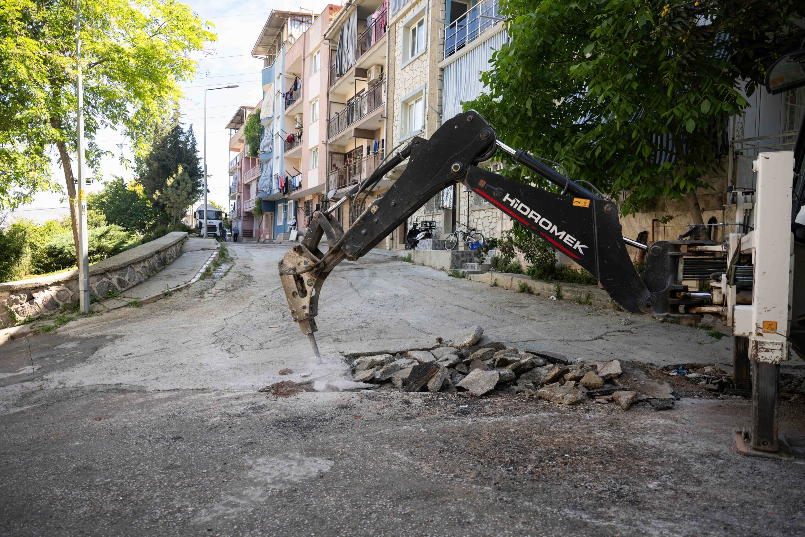 bornova