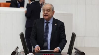 CHP İzmir Milletvekili ve Türkiye Büyük Millet Meclisi İnsan Haklarını