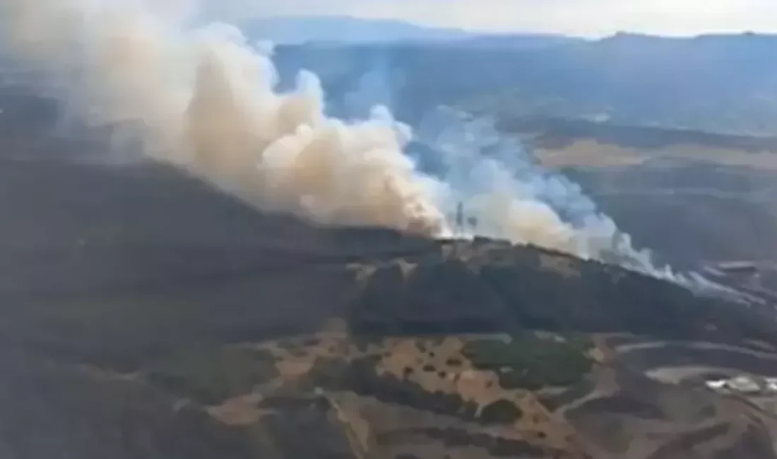 İzmir'in Aliağa ilçesinde ormanlık alanda çıkan yangına müdahale sürüyor. Havadan