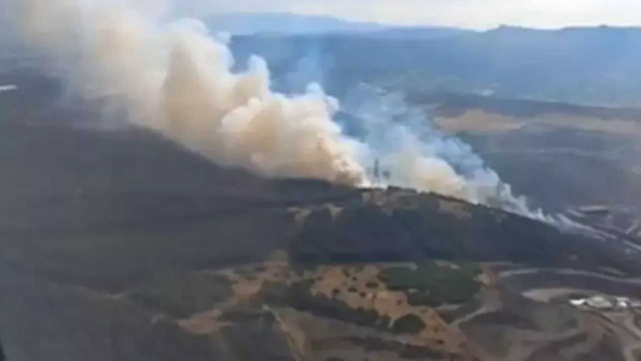 İzmir'in Aliağa ilçesinde ormanlık alanda çıkan yangına müdahale sürüyor. Havadan