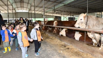 Çiğli Belediyesi, çocuklara doğayla iç içe bir gün yaşatmak amacıyla