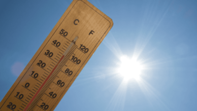 Dünya Meteoroloji Örgütü’nün (WMO) küresel iklim tahminlerine göre önümüzdeki beş