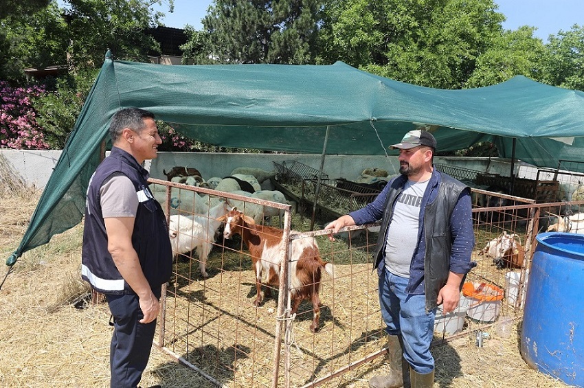 Menderes Belediyesi, Zabıta Müdürlüğü ekipleri ile Kurban Bayramı öncesi denetimler