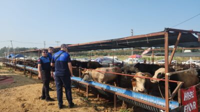 Çiğli Belediyesi Zabıta Müdürlüğü ile İlçe Kurban Komisyonu ekipleri Kurban