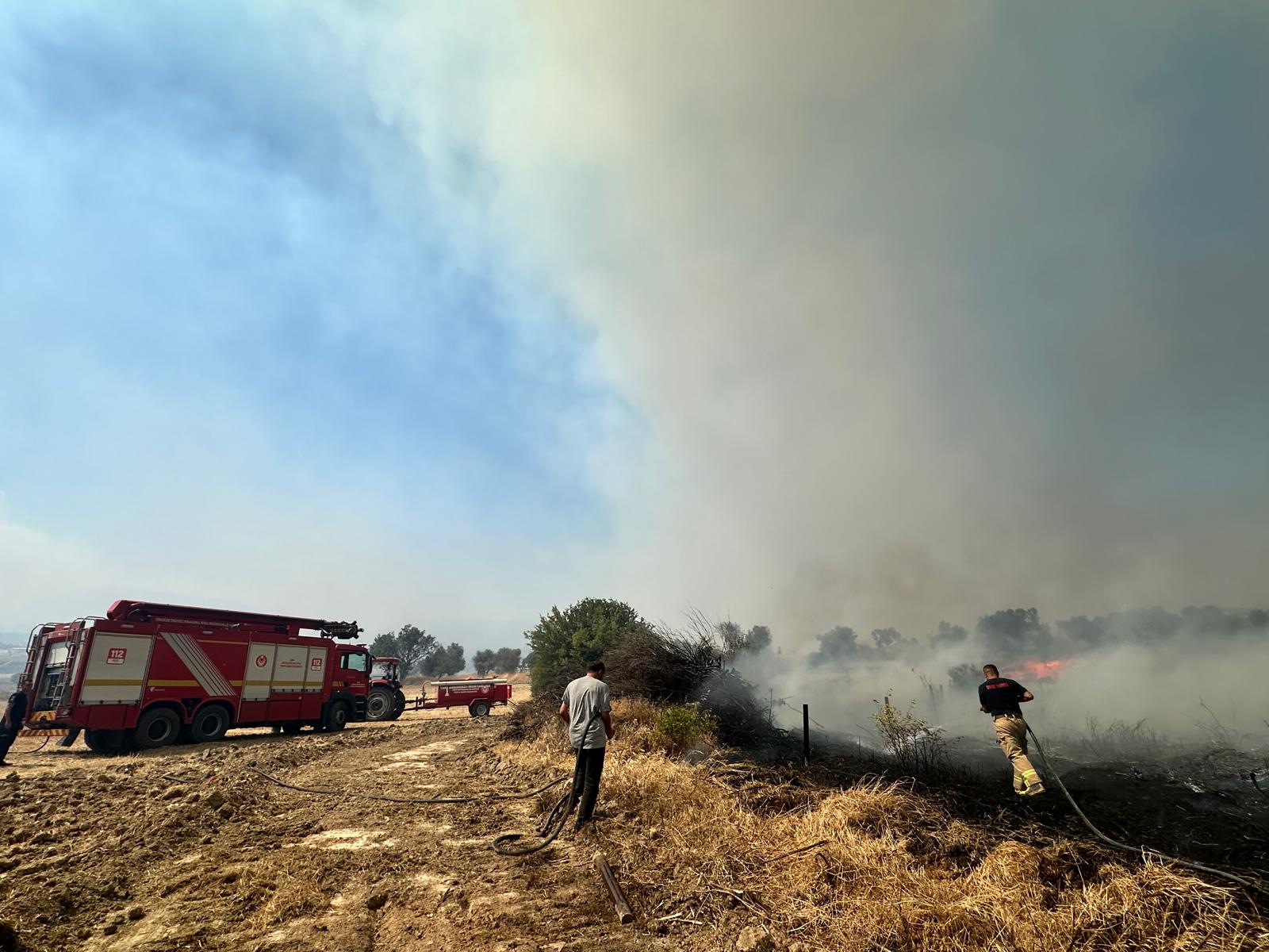 Bugün öğlen saatlerinde Aliağa Bozköy Mahallesi yakınlarındaki ormanlık alanda çıkan