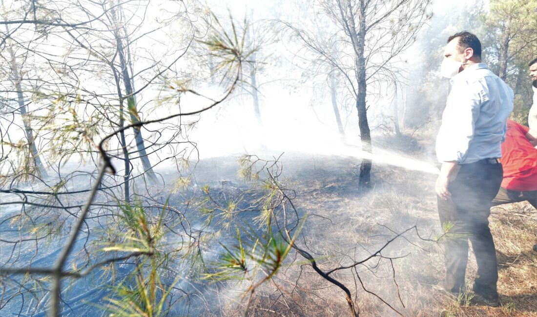 İzmir'in Bornova ilçesine bağlı Yakaköy'de tarım arazisinde başlayan yangın, rüzgarın