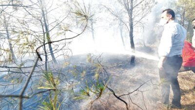 İzmir'in Bornova ilçesine bağlı Yakaköy'de tarım arazisinde başlayan yangın, rüzgarın