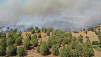 Aydın'da Savrandere ve Böcek mahalleleri yakınındaki ziraat alanı ve makilik