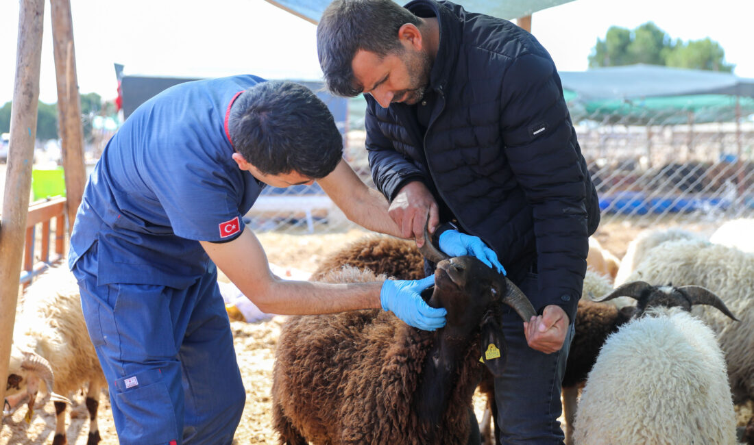 Kurban Bayramı yaklaşırken Buca Belediyesi, vatandaşların ibadetlerini hijyenik ve güvenli