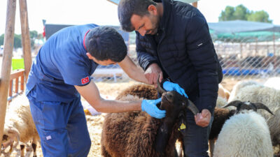 Kurban Bayramı yaklaşırken Buca Belediyesi, vatandaşların ibadetlerini hijyenik ve güvenli