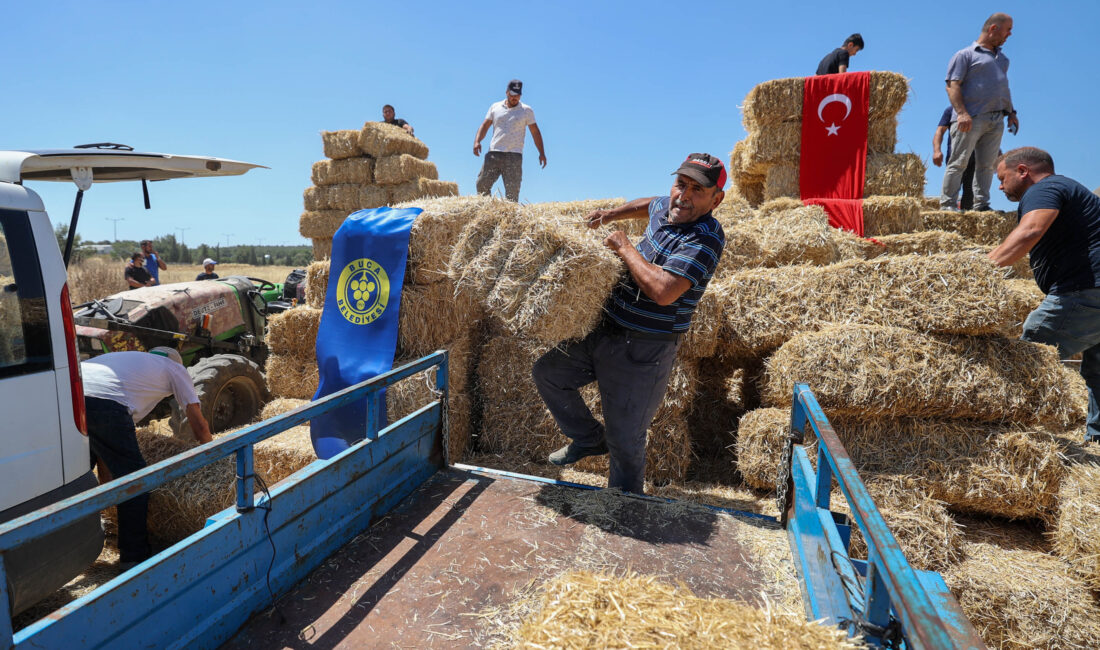 Buca Belediyesi, köyler bölgesinde hayvancılıkla uğraşan üreticilere saman balyası desteğinde