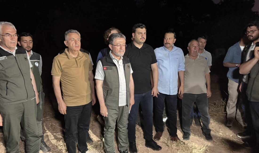 İzmir’de devam eden orman yangınlarına ilişkin bölgede incelemelerde bulunan AK
